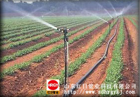 双壁波纹管